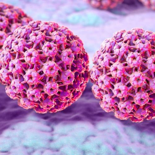 HPV-virus en Raymedy